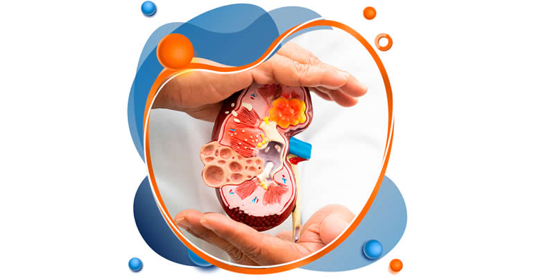 Nutrição Renal - Dra. Jucileia Ramos